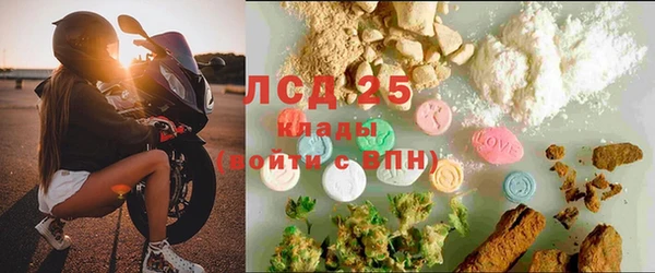 PSILOCYBIN Лабытнанги